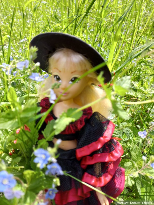 В кругу фей — Куклы Winx (Винкс) и W (фото 7)