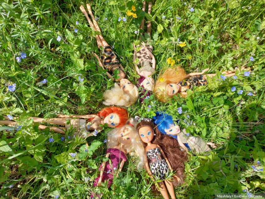 В кругу фей — Куклы Winx (Винкс) и W (фото 10)