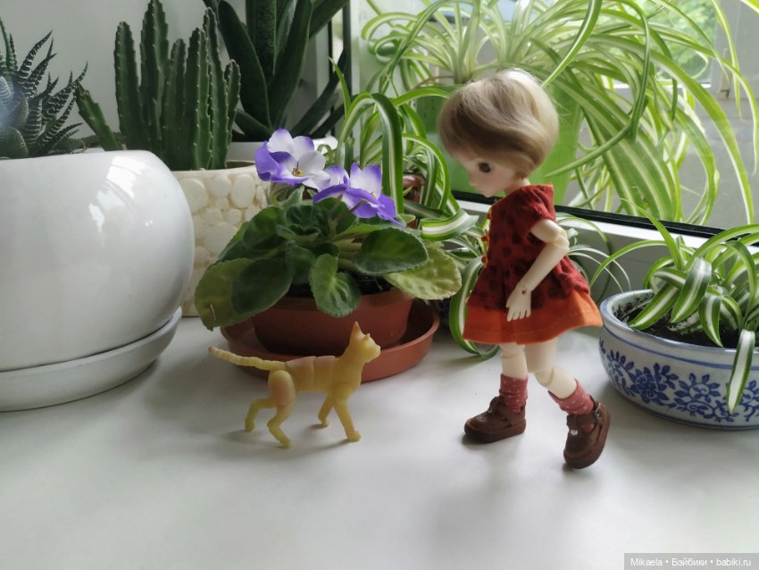 Когда дел невпроворот — Фотоистории с куклами BJD (БЖД): сериалы (фото 3)