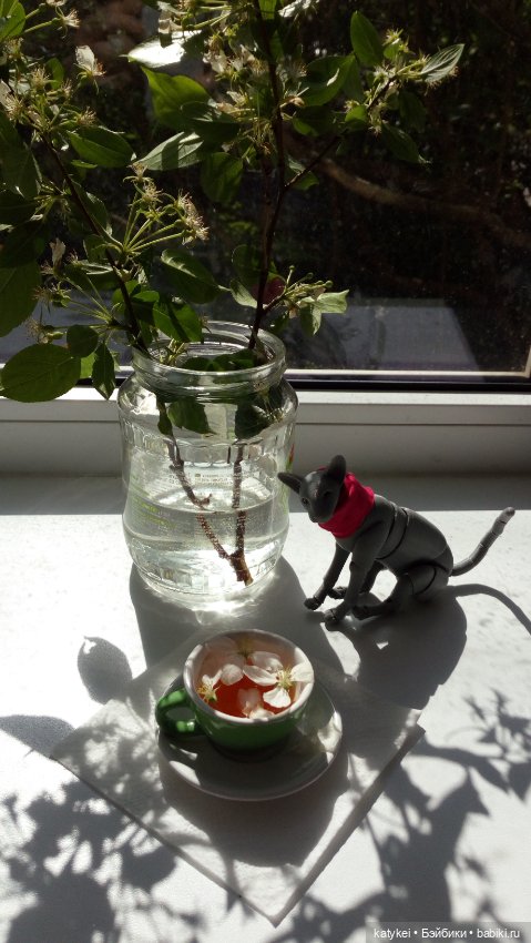 Чай с отцветшим яблоневым цветом