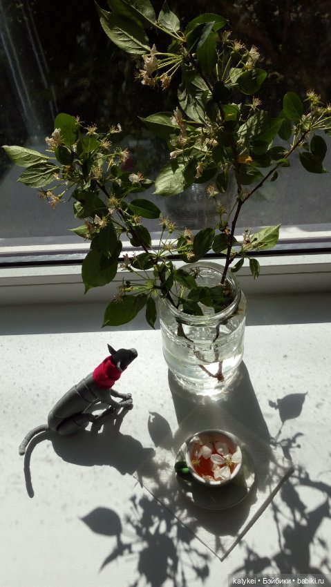 Чай с отцветшим яблоневым цветом