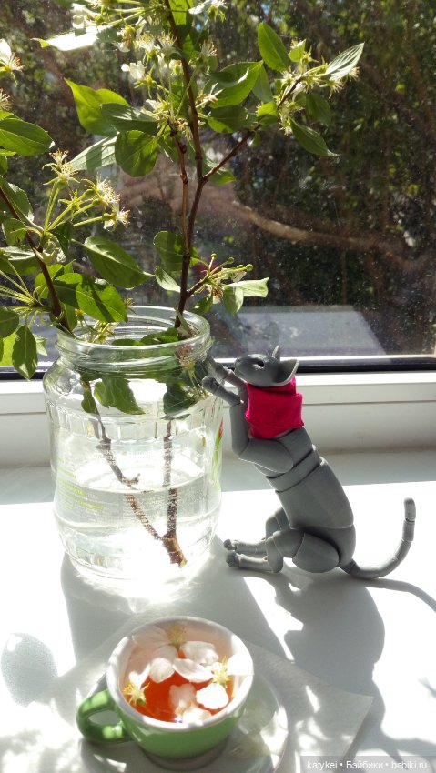 Чай с отцветшим яблоневым цветом