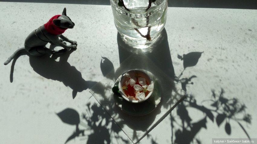 Чай с отцветшим яблоневым цветом