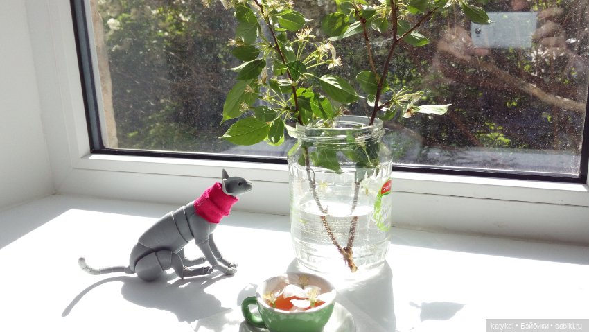 Чай с отцветшим яблоневым цветом