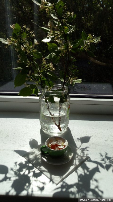 Чай с отцветшим яблоневым цветом