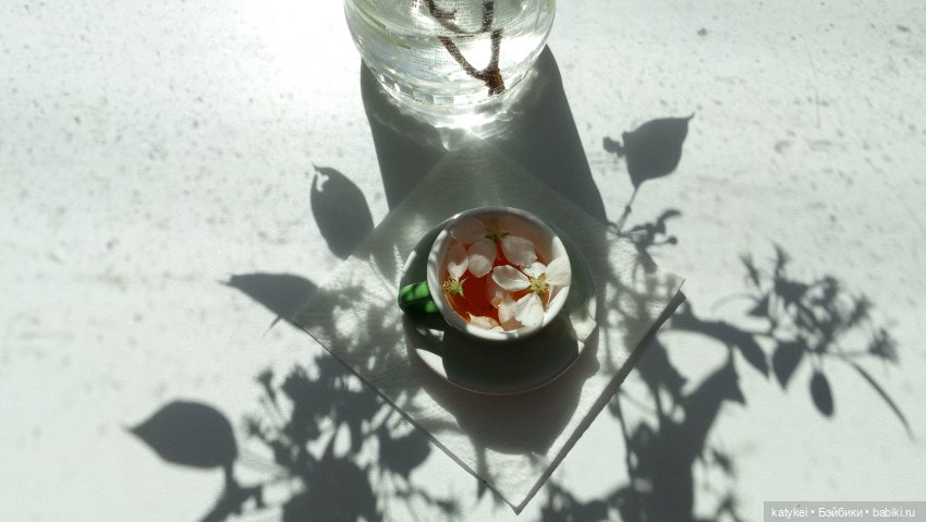 Чай с отцветшим яблоневым цветом