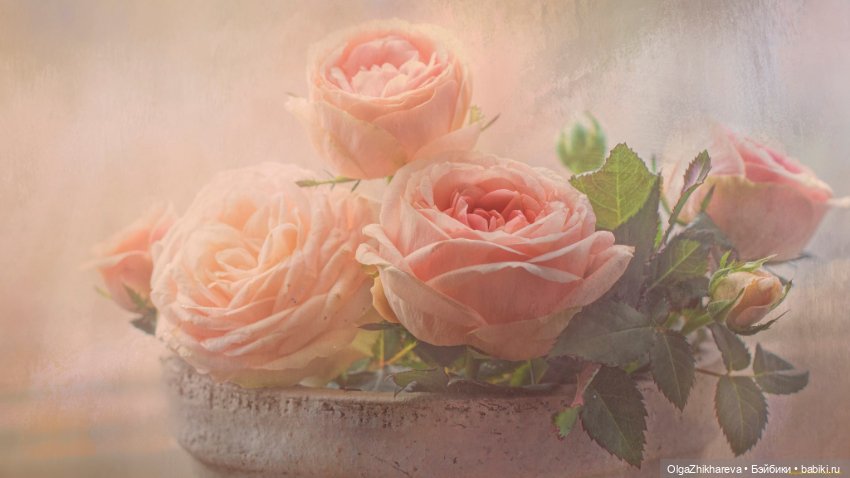 Аделина Susan Krey - Моё Нежное Дитя