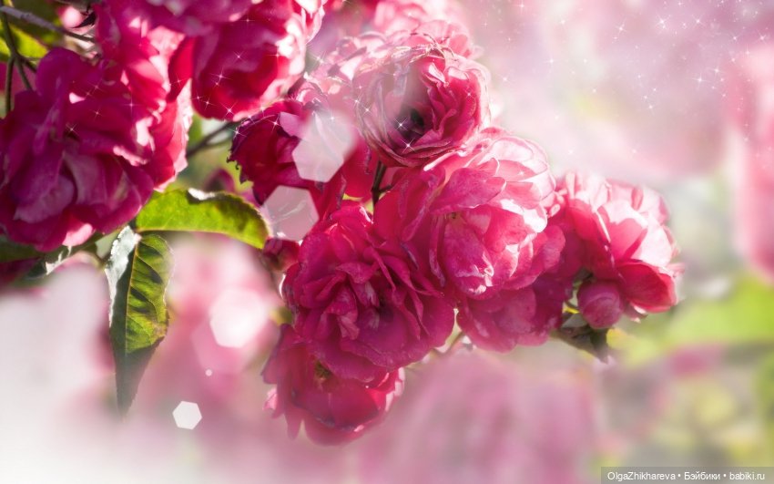 Аделина Susan Krey - Моё Нежное Дитя