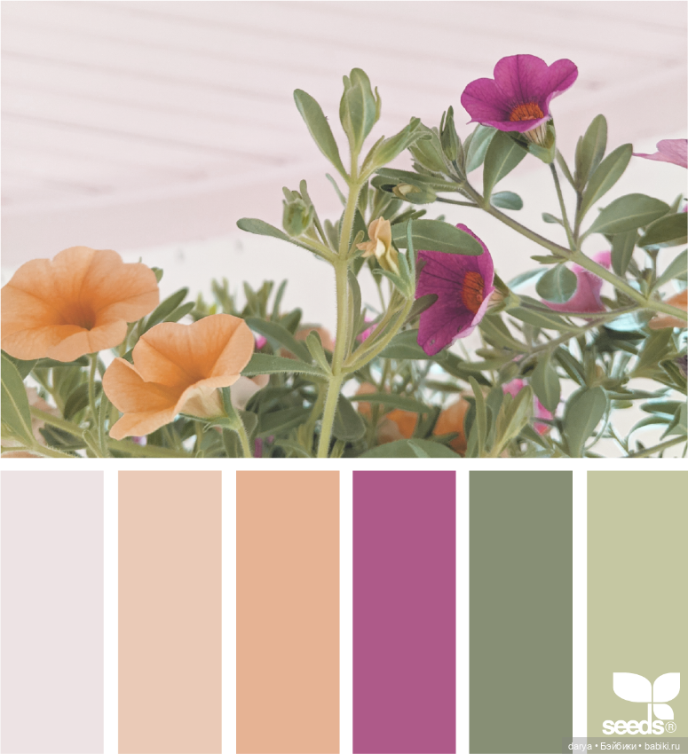 Красивое сочетание цветов (фото 7)