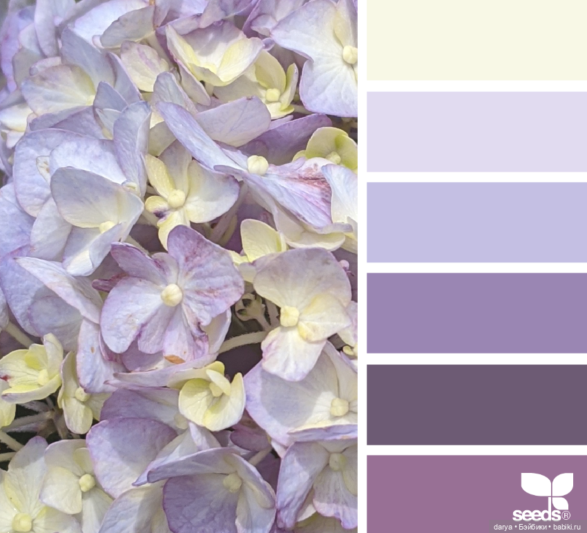 Красивое сочетание цветов (фото 10)