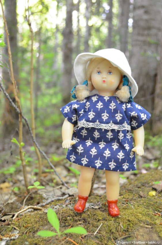 Звездочка и северное лето