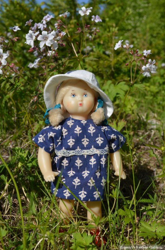 Звездочка и северное лето (фото 4)