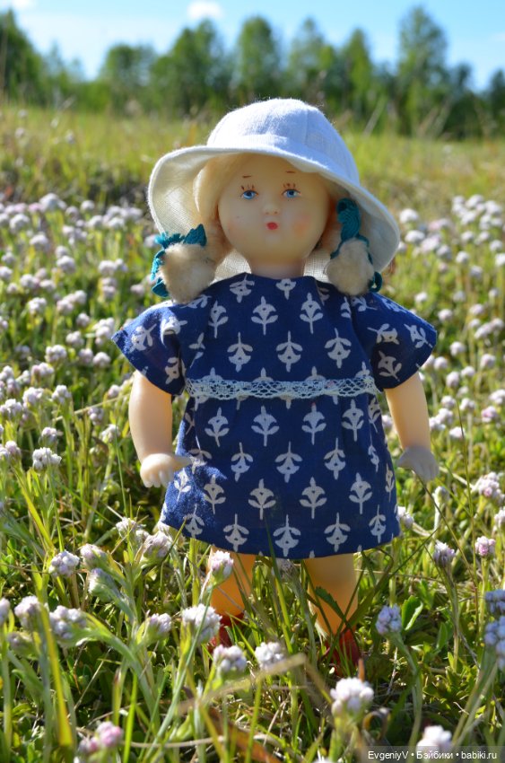 Звездочка и северное лето (фото 3)