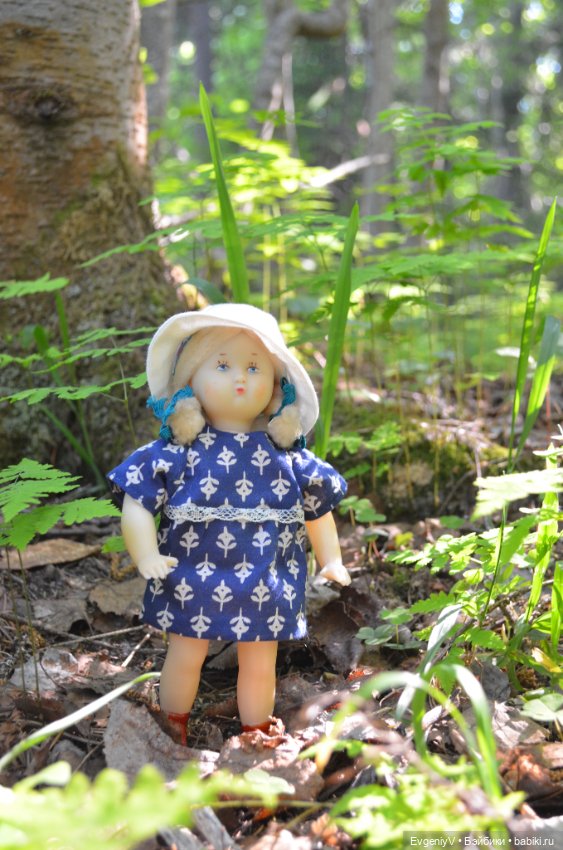 Звездочка и северное лето (фото 2)