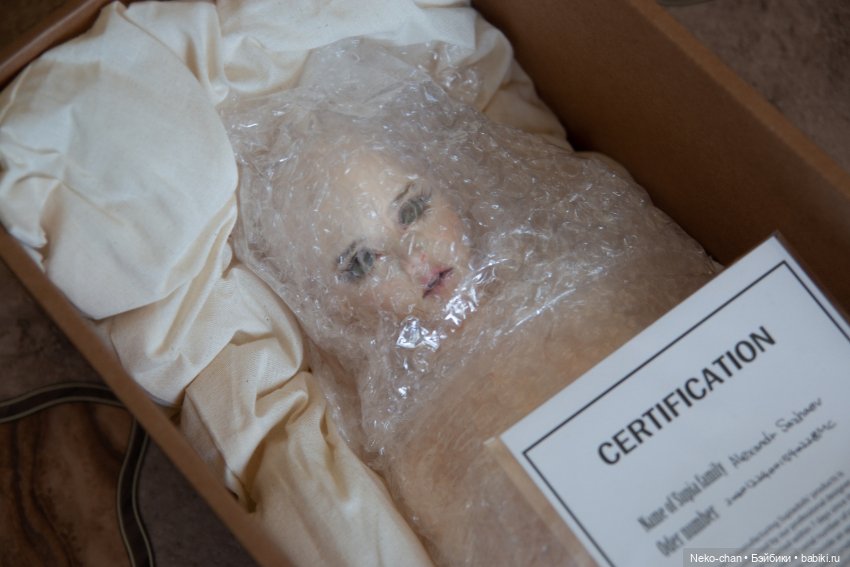 Приехала моя ушастенькая — Куклы Supia Doll (Супия): корейские BJD (БЖД) (фото 5)