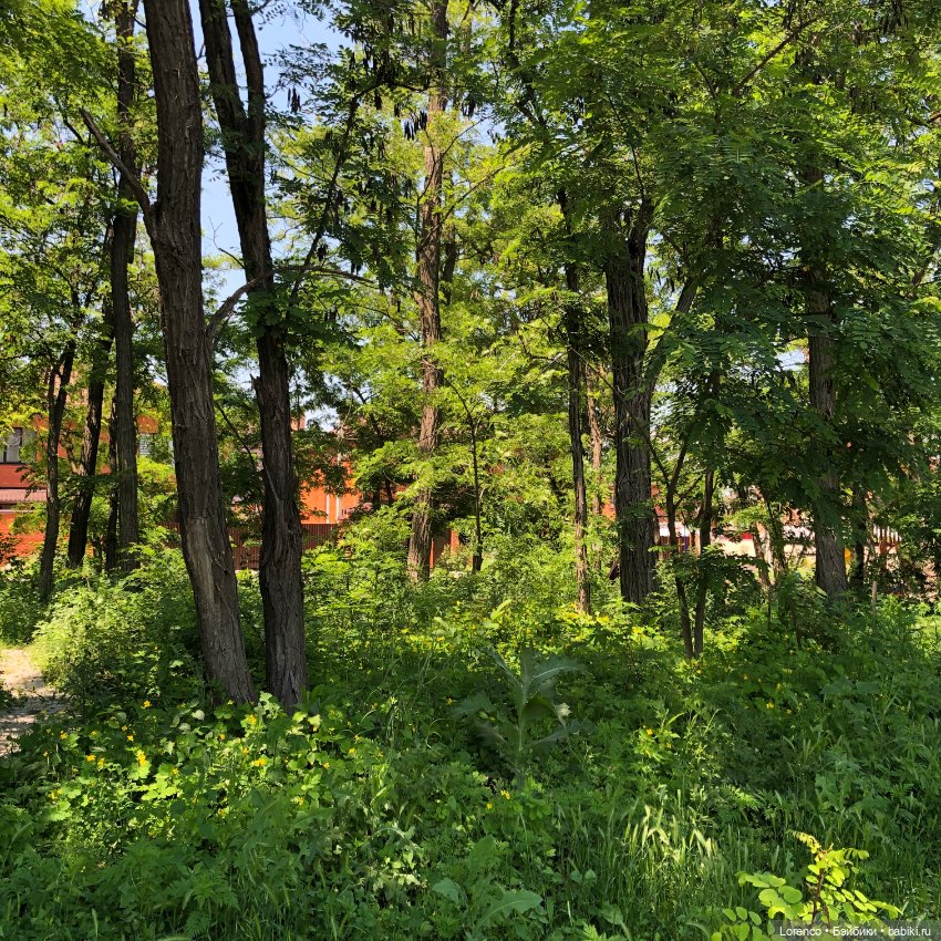 Мой любимый — Игровые куклы разных производителей (Разное): редкие бренды (фото 6)