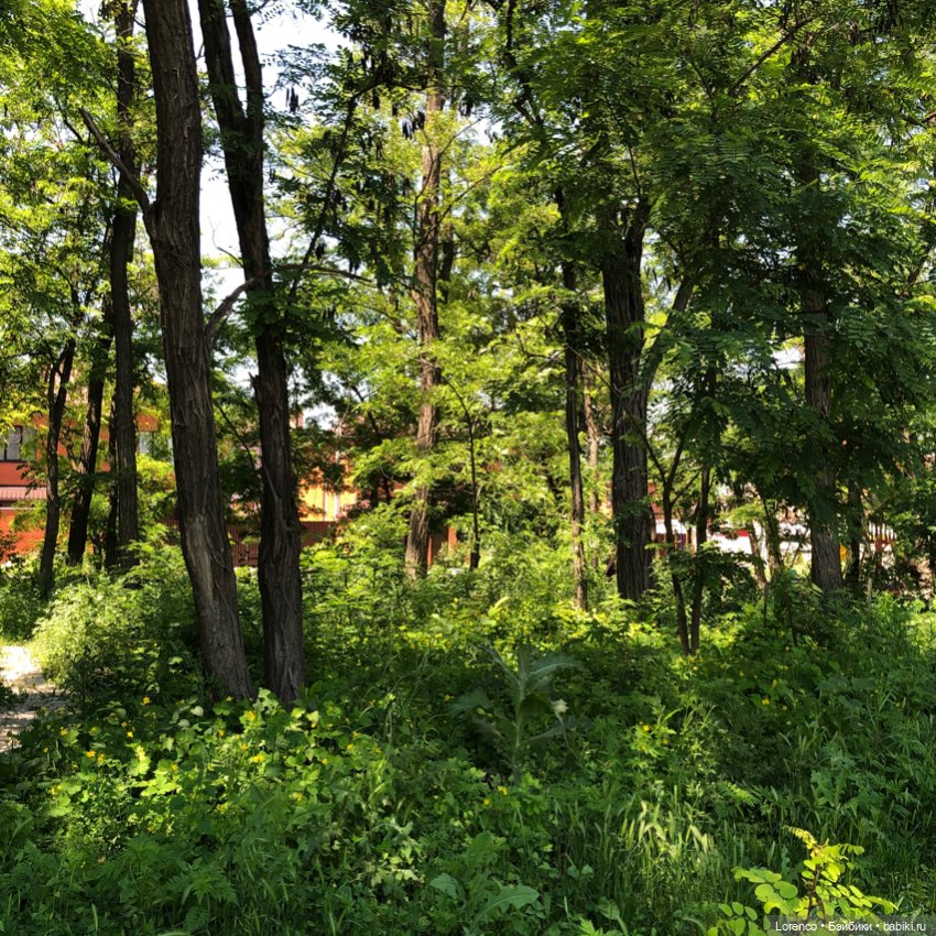 Мой любимый — Игровые куклы разных производителей (Разное): редкие бренды (фото 5)