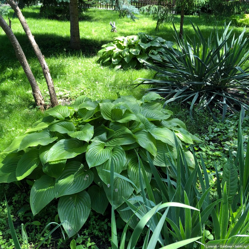 Мой любимый — Игровые куклы разных производителей (Разное): редкие бренды