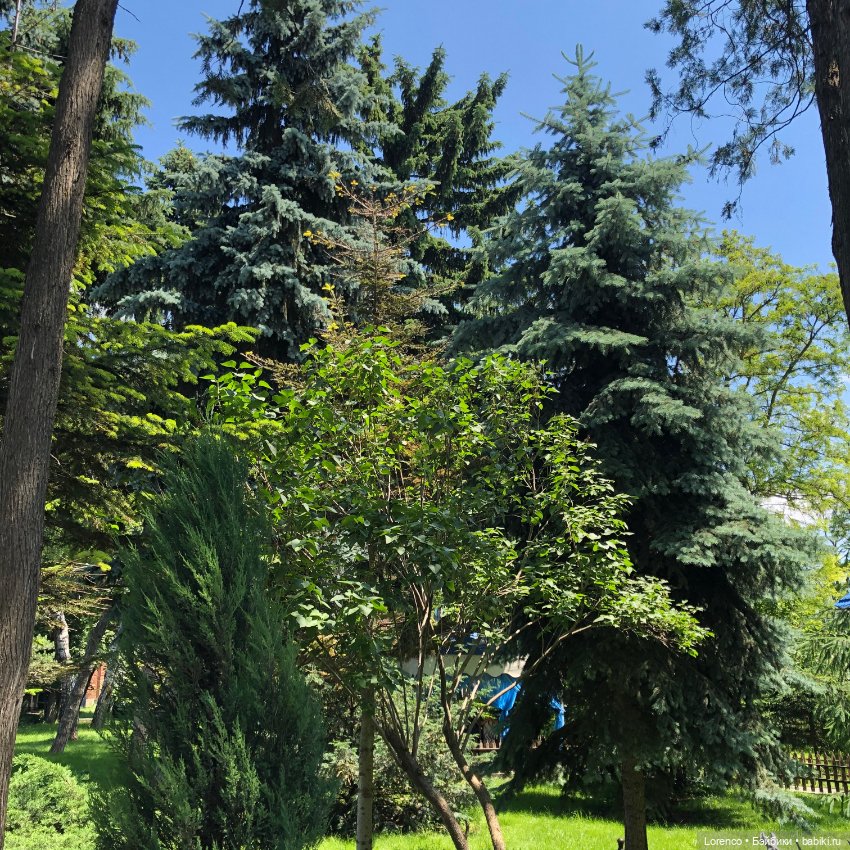 Мой любимый — Игровые куклы разных производителей (Разное): редкие бренды