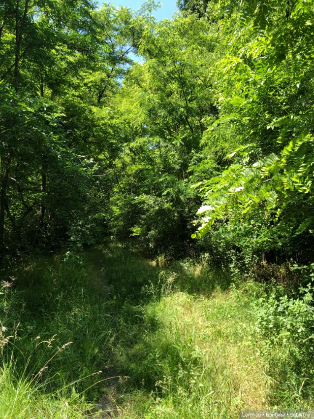 Мой любимый — Игровые куклы разных производителей (Разное): редкие бренды