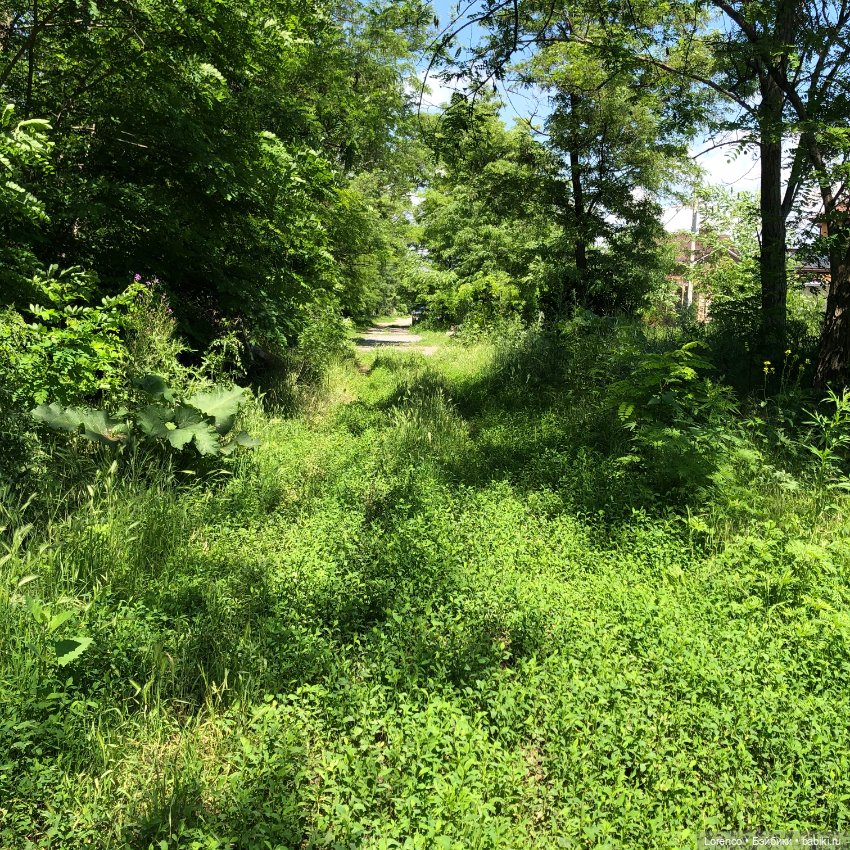 Мой любимый — Игровые куклы разных производителей (Разное): редкие бренды (фото 3)