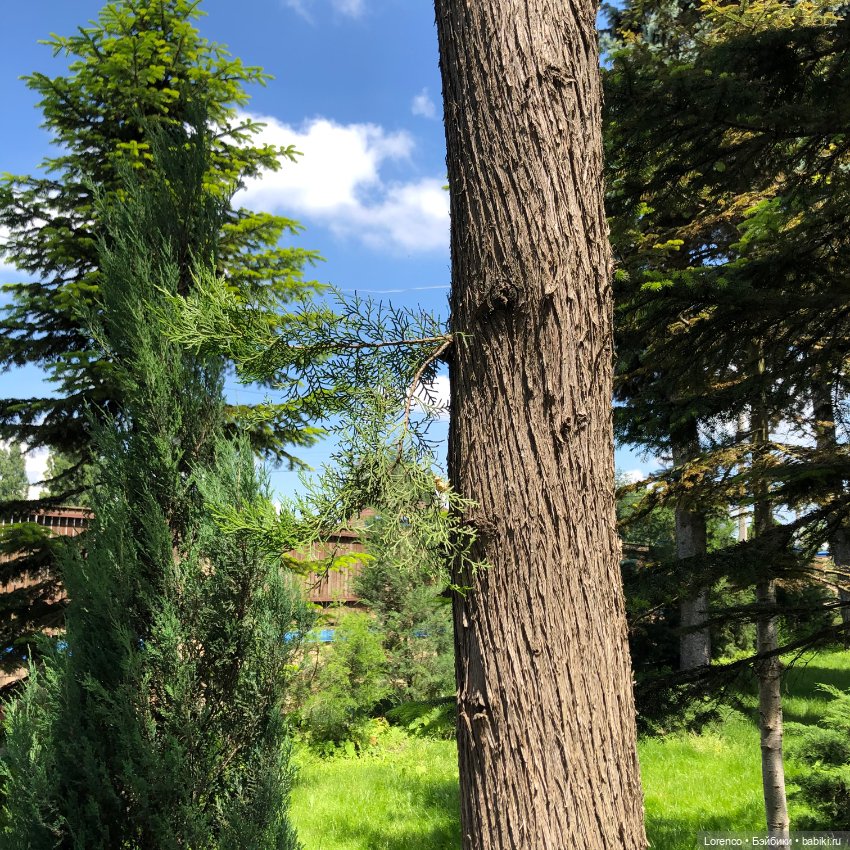 Мой любимый — Игровые куклы разных производителей (Разное): редкие бренды