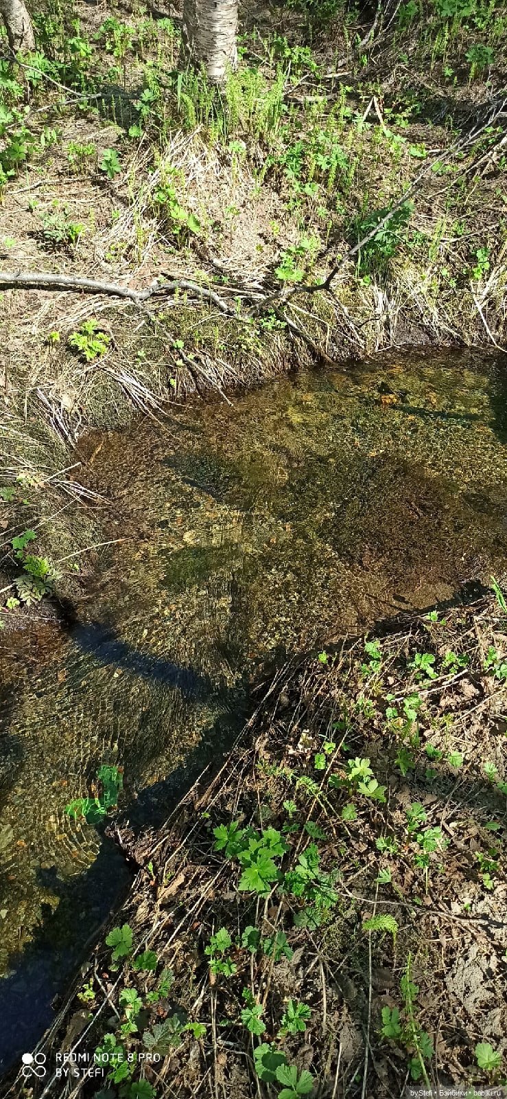 Заполярье. 11 июня 2021. Часть 2