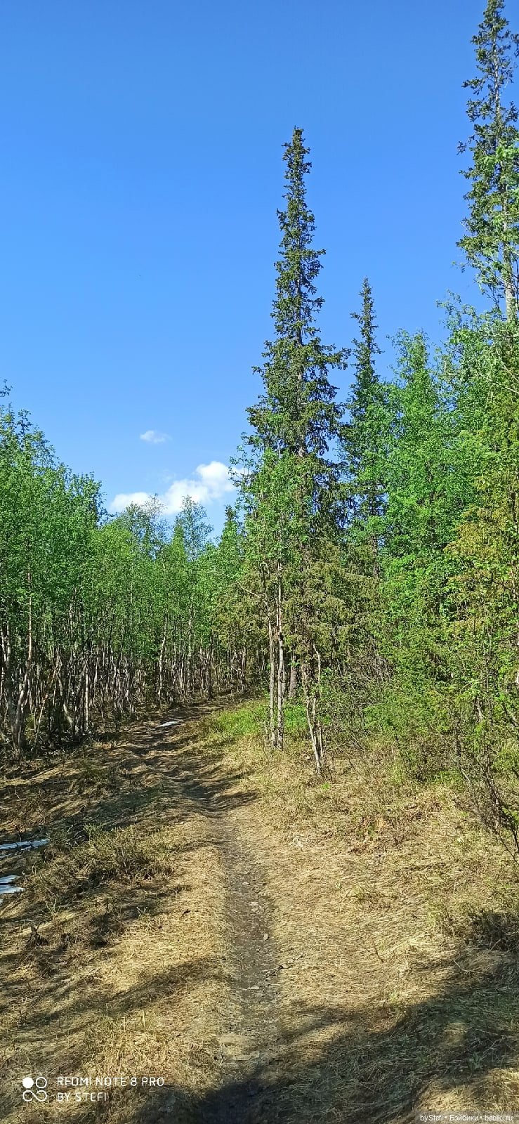 Заполярье. 11 июня 2021. Заключительная часть (фото 8)