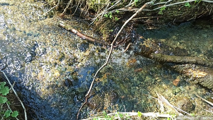 Заполярье. 11 июня 2021. Часть 3 (фото 9)