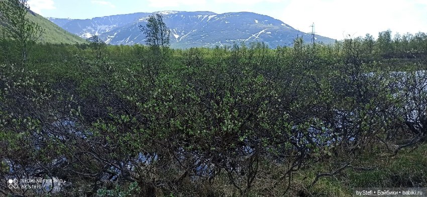 Заполярье. 11 июня 2021. Часть 3