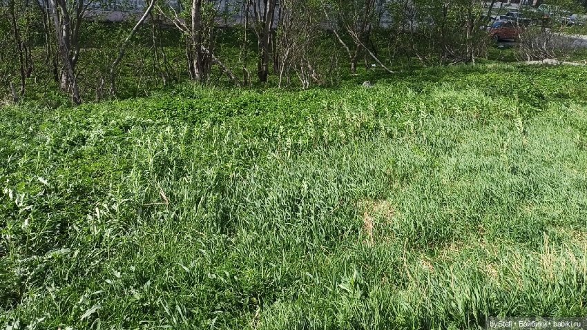 Заполярье. 11 июня 2021. Часть 3