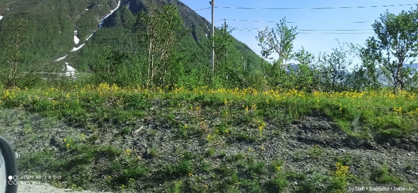 Заполярье. 11 июня 2021. Часть 1