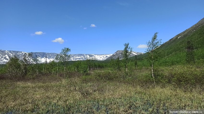 Заполярье. 11 июня 2021. Часть 1 (фото 7)