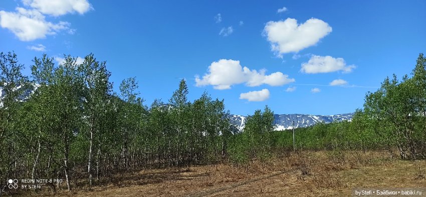 Заполярье. 11 июня 2021. Часть 3