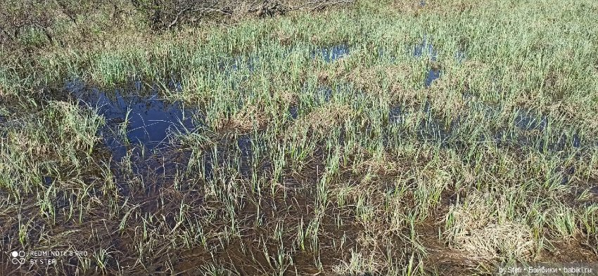 Заполярье. 11 июня 2021. Часть 1