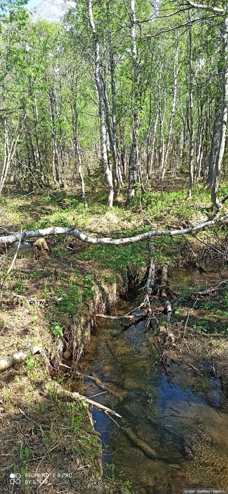 Заполярье. 11 июня 2021. Часть 2