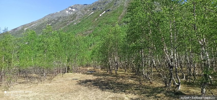 Заполярье. 11 июня 2021. Часть 1