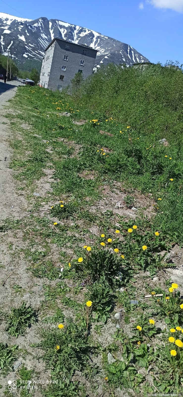 Заполярье. 11 июня 2021. Часть 1 (фото 2)