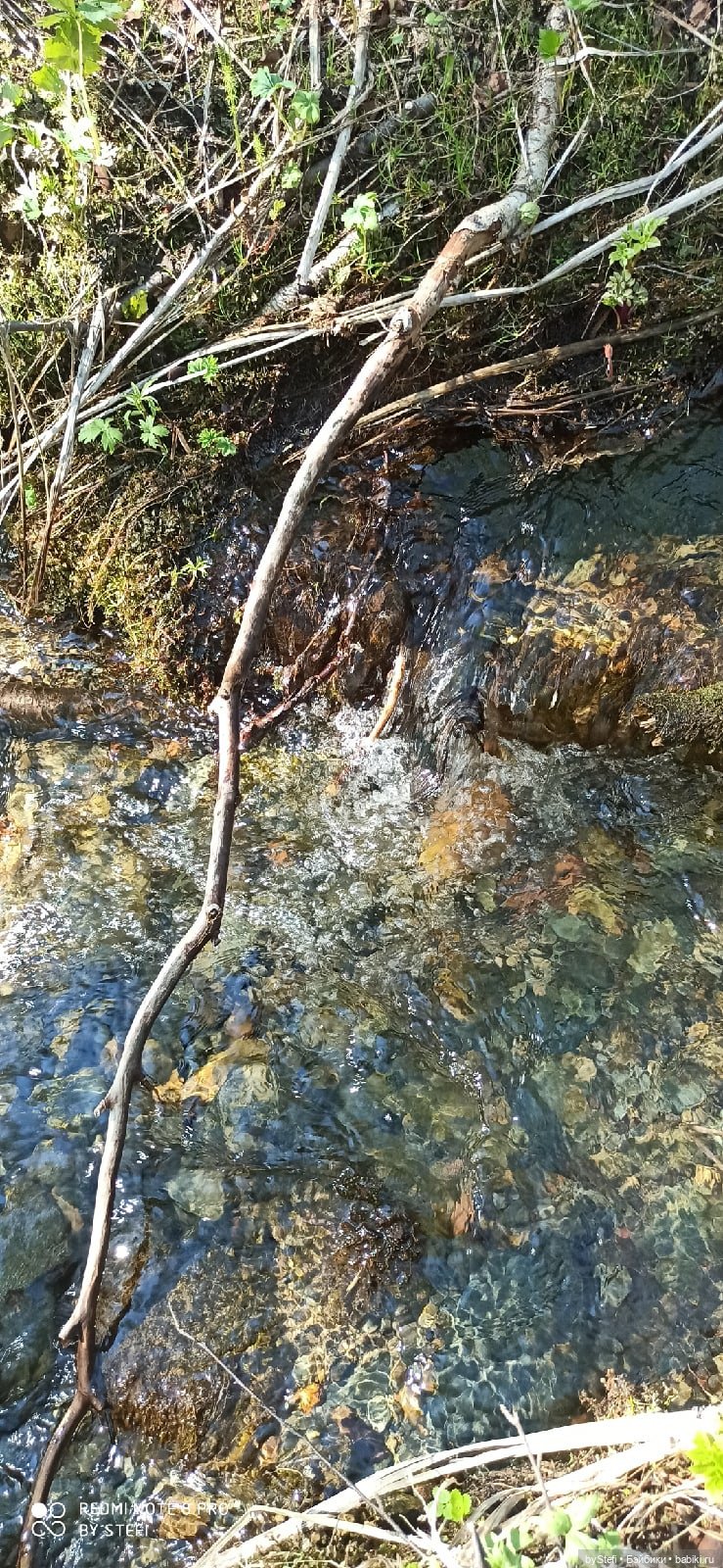 Заполярье. 11 июня 2021. Часть 3 (фото 7)