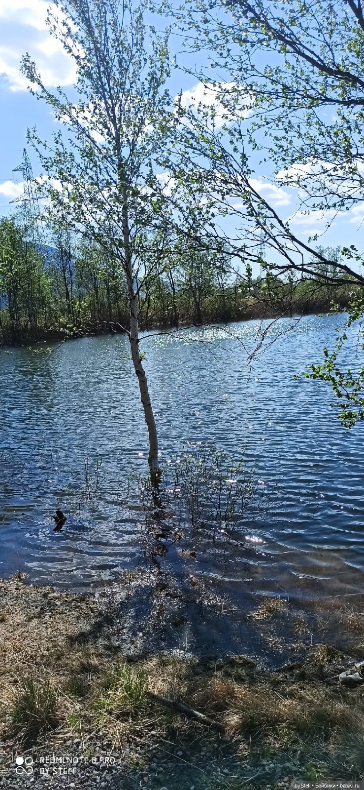 Заполярье. 11 июня 2021. Часть 3