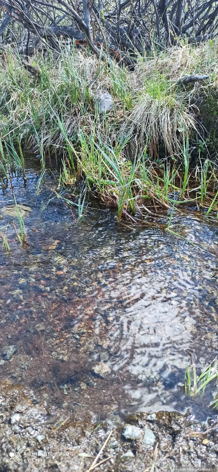 Заполярье. 11 июня 2021. Часть 3