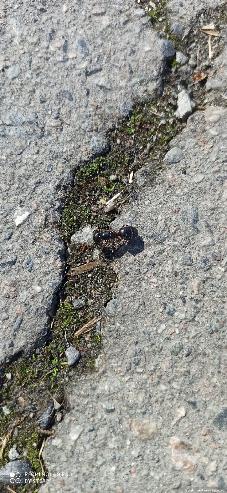 Заполярье. 11 июня 2021. Часть 3