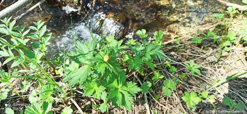 Заполярье. 11 июня 2021. Часть 2