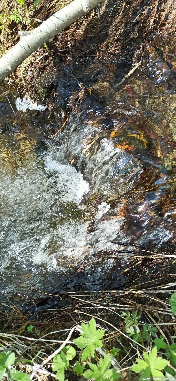 Заполярье. 11 июня 2021. Часть 2