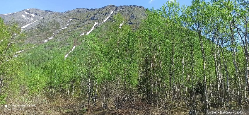 Заполярье. 11 июня 2021. Часть 2