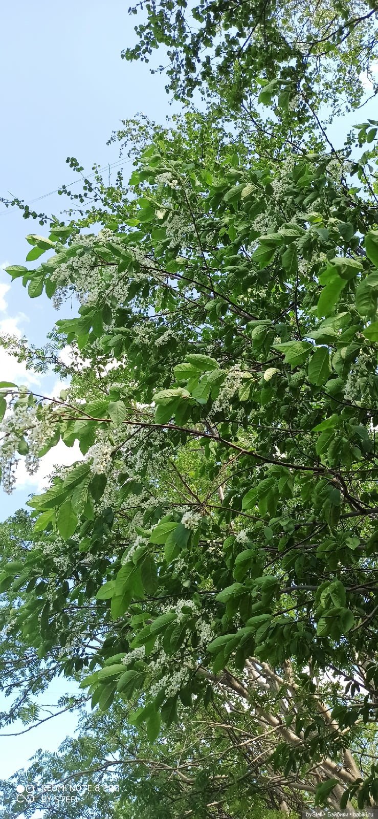 Заполярье. 11 июня 2021. Часть 3