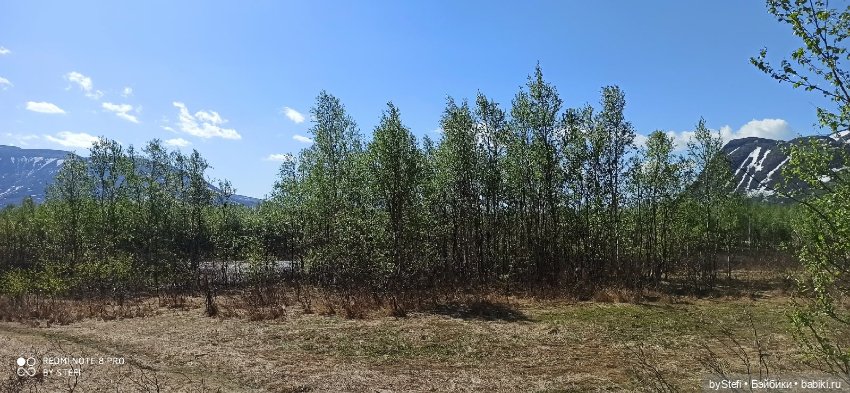 Заполярье. 11 июня 2021. Часть 2