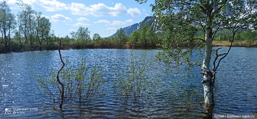 Заполярье. 11 июня 2021. Часть 3