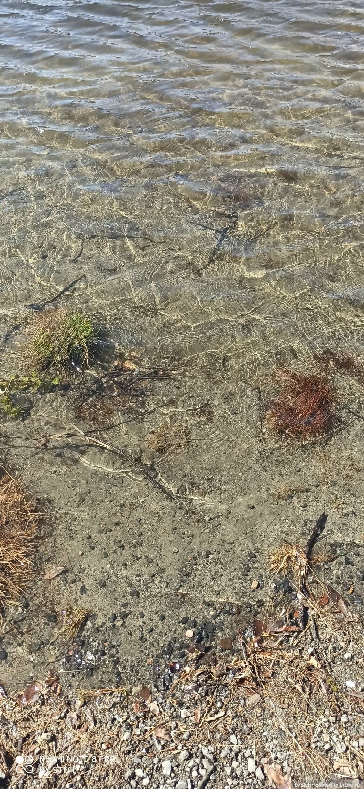 Заполярье. 11 июня 2021. Часть 1