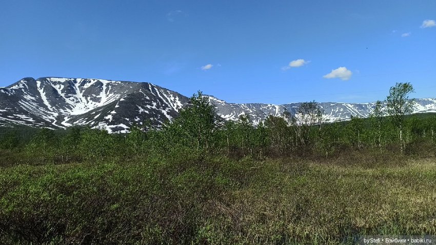 Заполярье. 11 июня 2021. Часть 1 (фото 8)